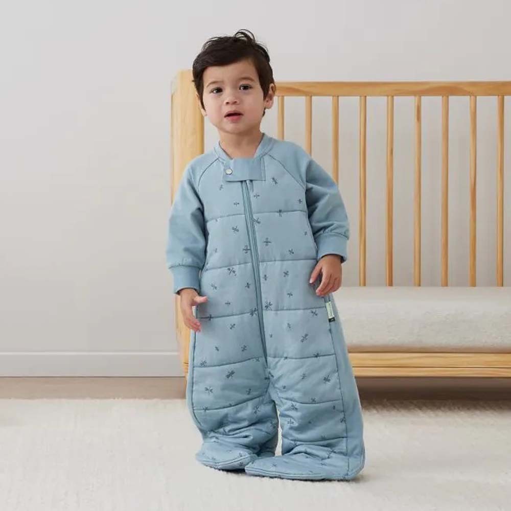 Ergopouch 3.5 Tog Sleep Suit Bag Dragonflies