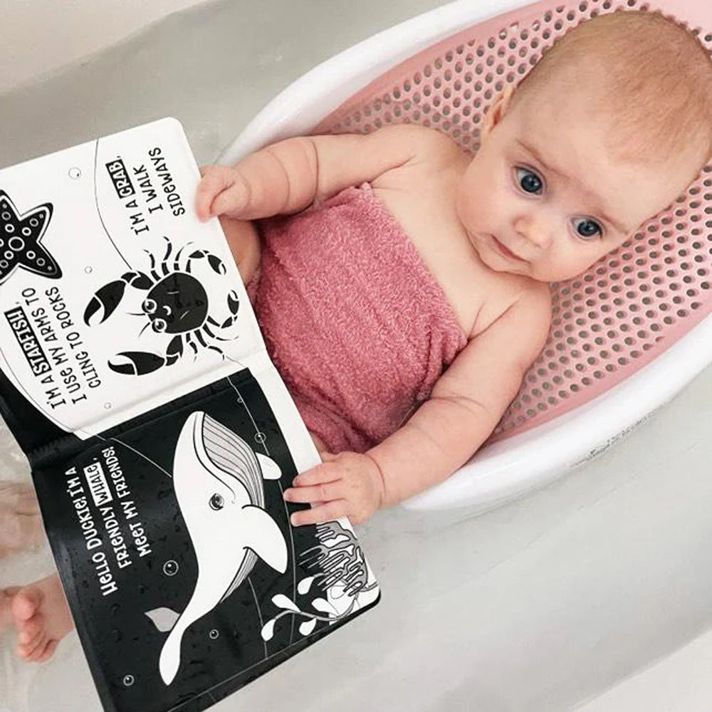 Young Wonderer Duckie Goes On An Adventure Bath Book